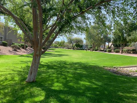 2537 E Ivanhoe Ct, Gilbert, AZ 85295 photo 33