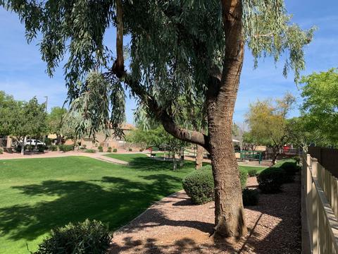 2537 E Ivanhoe Ct, Gilbert, AZ 85295 photo 35