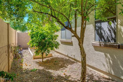 2974 S Roca St, Gilbert, AZ 85295 photo 41