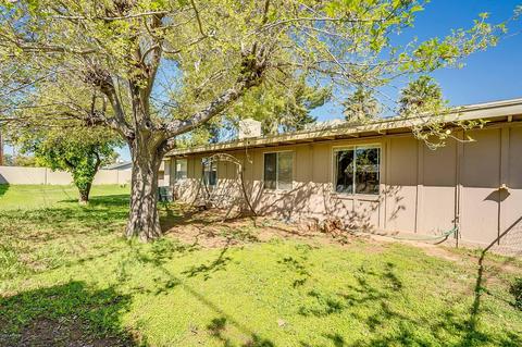 1411 E 3rd St, Mesa, AZ 85203 photo 55