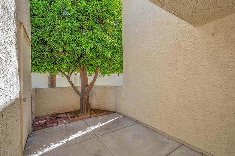 775 E Lola Dr, Phoenix, AZ 85022 photo 14