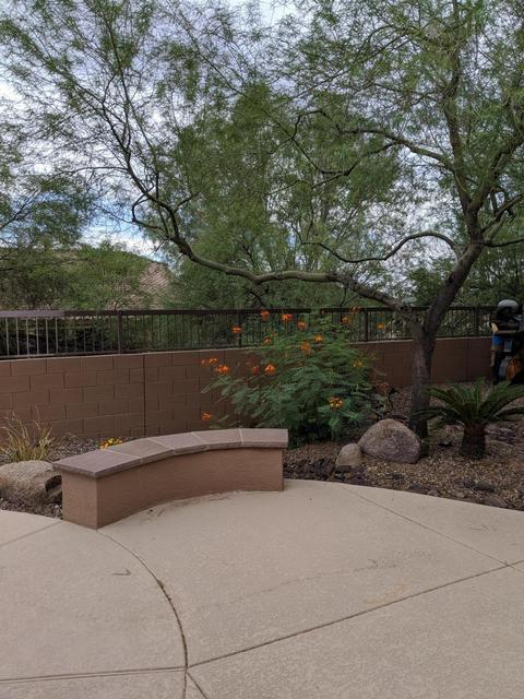 7505 E Tyndall Cir, Mesa, AZ 85207 photo 22
