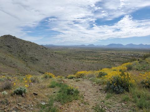 2835 E Jj Ranch Rd, Phoenix, AZ 85024 photo 39