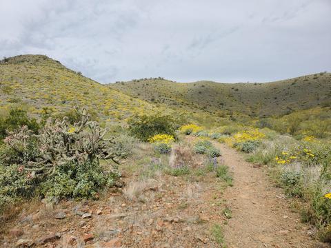 2835 E Jj Ranch Rd, Phoenix, AZ 85024 photo 38