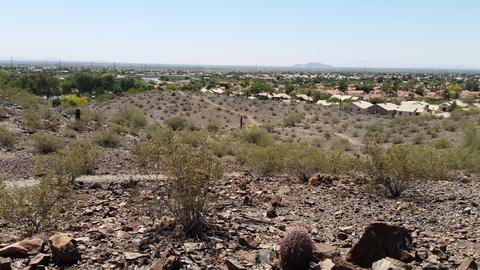 4154 E Cholla Canyon Dr, Phoenix, AZ 85044 photo 47