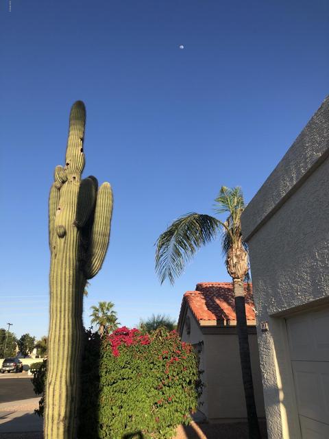 1533 E Mineral Rd, Gilbert, AZ 85234 photo 11