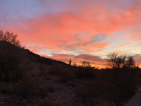 2238 E Rockledge Rd, Phoenix, AZ 85048 photo 8