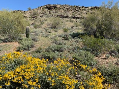 2238 E Rockledge Rd, Phoenix, AZ 85048 photo 7