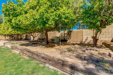 5944 Encanto St, Mesa, AZ 85205 photo 23