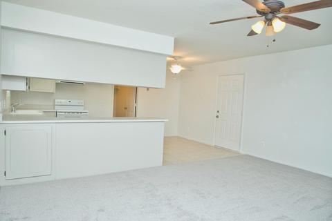 250 E Hemlock Ave, Gilbert, AZ 85234 photo 12