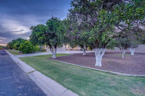 3502 E Norcroft Cir, Mesa, AZ 85213 photo 43