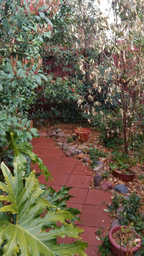 88 Pittsburg Ave, Bisbee, AZ 85603 photo 3
