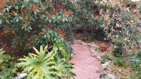 88 Pittsburg Ave, Bisbee, AZ 85603 photo 4