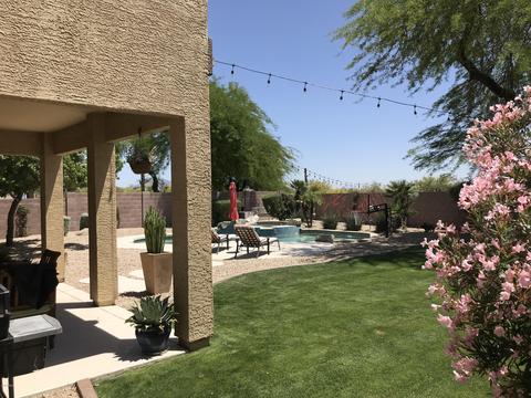 4125 E Prickly Pear Trl, Phoenix, AZ 85050 photo 15