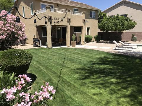 4125 E Prickly Pear Trl, Phoenix, AZ 85050 photo 14