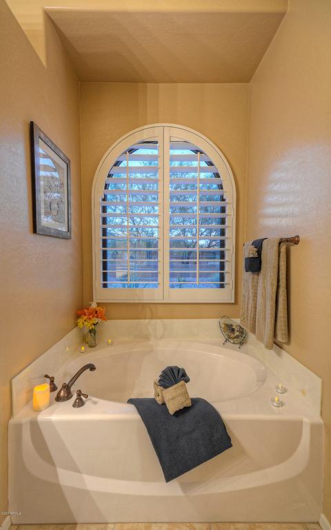 6921 E Scarlet Cir, Mesa, AZ 85207 photo 15