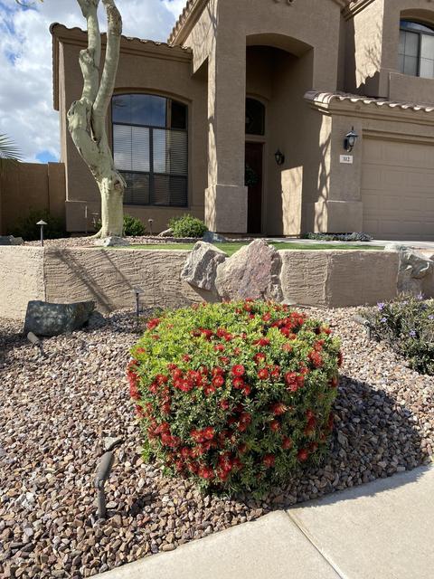 312 E Glenhaven Dr, Phoenix, AZ 85048 photo 4