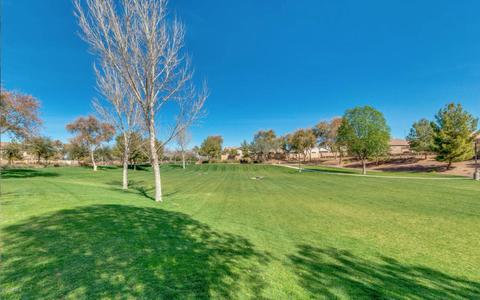 10840 E Thatcher Ave, Mesa, AZ 85212 photo 46