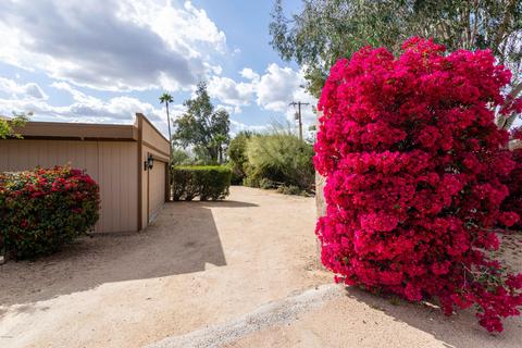 4438 E Arlington Rd, Phoenix, AZ 85018 photo 10
