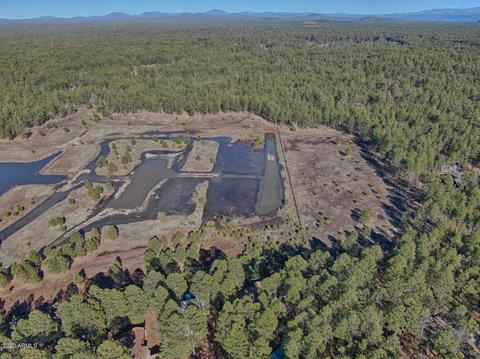 2017 E Sierra Pine Loop, Pinetop, AZ 85935 photo 18