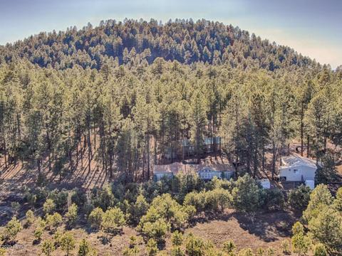 2017 E Sierra Pine Loop, Pinetop, AZ 85935 photo 19