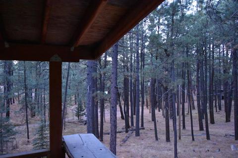 2580 Tom Loop, Forest Lakes, AZ 85931 photo 7
