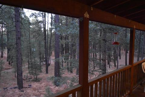 2580 Tom Loop, Forest Lakes, AZ 85931 photo 9