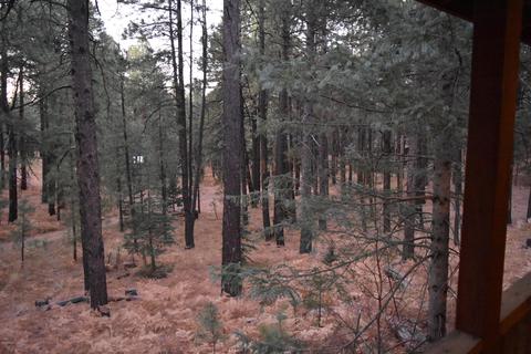 2580 Tom Loop, Forest Lakes, AZ 85931 photo 13