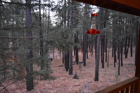 2580 Tom Loop, Forest Lakes, AZ 85931 photo 17