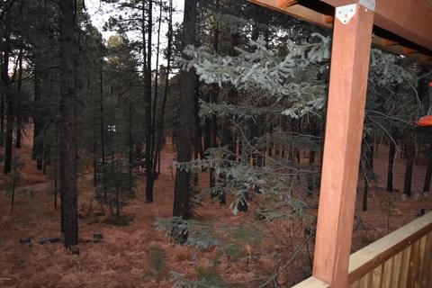 2580 Tom Loop, Forest Lakes, AZ 85931 photo 12