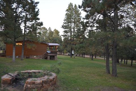 3465 Larson Loop, Forest Lakes, AZ 85931 photo 13