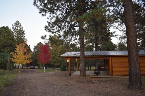 3465 Larson Loop, Forest Lakes, AZ 85931 photo 22