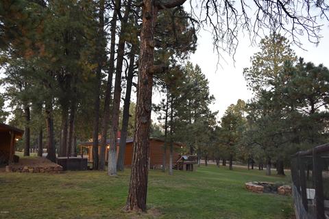 3465 Larson Loop, Forest Lakes, AZ 85931 photo 15