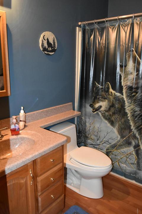 3465 Larson Loop, Forest Lakes, AZ 85931 photo 61