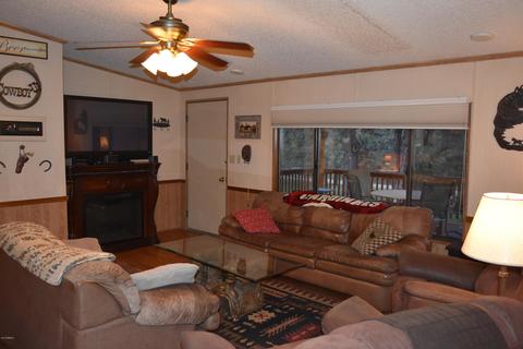 3465 Larson Loop, Forest Lakes, AZ 85931 photo 63