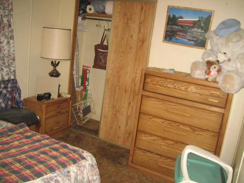 2541 E Piute Ave, Phoenix, AZ 85050 photo 9