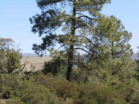 306 N Grapevine Dr, Payson, AZ 85541 photo 57