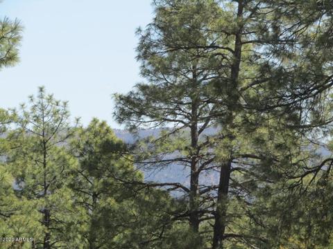 306 N Grapevine Dr, Payson, AZ 85541 photo 56