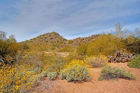 2413 N Malachite --, Mesa, AZ 85207 photo 38