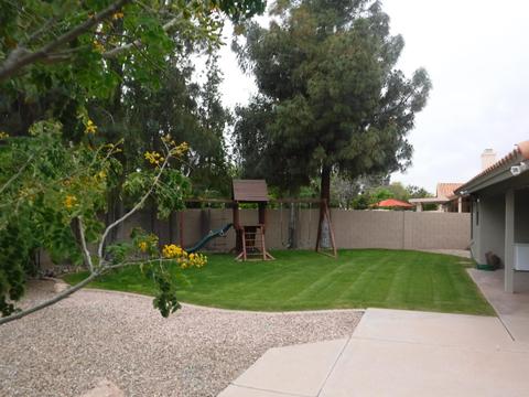 507 E Page Ave, Gilbert, AZ 85234 photo 17