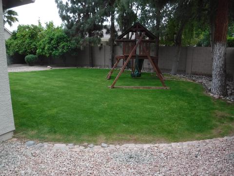 507 E Page Ave, Gilbert, AZ 85234 photo 16