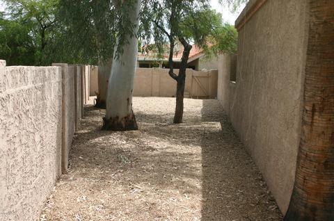 4138 E Larkspur Dr, Phoenix, AZ 85032 photo 14