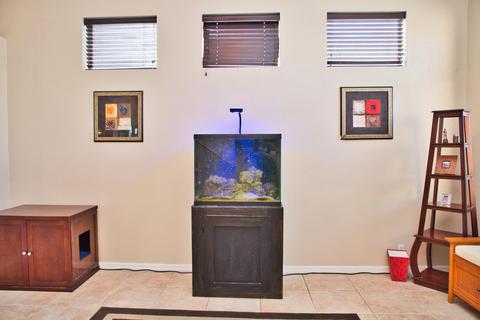 1527 E Michelle Dr, Phoenix, AZ 85022 photo 32