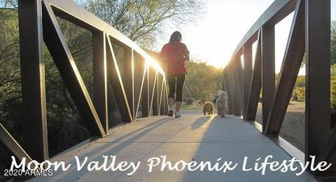 312 E Voltaire Ave, Phoenix, AZ 85022 photo 31