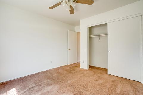11246 Edgewood Ave, Mesa, AZ 85208 photo 15