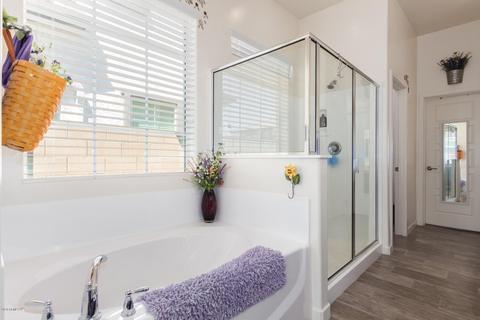 10463 E Nido Ave, Mesa, AZ 85209 photo 11
