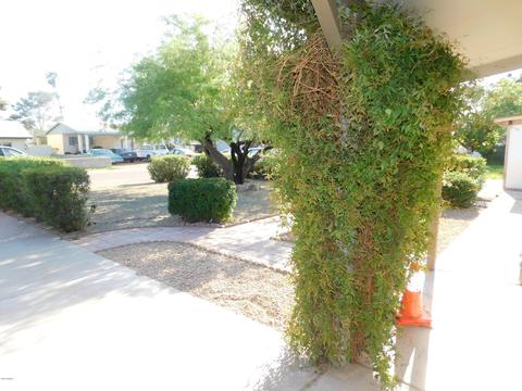 2236 E Sandra Ter, Phoenix, AZ 85022 photo 20