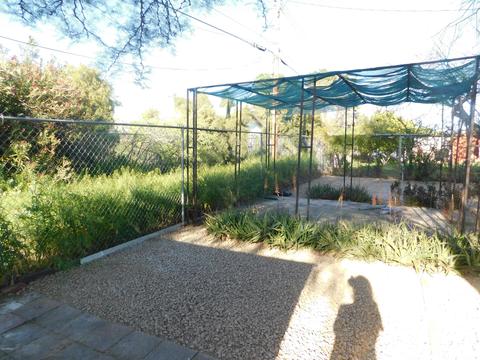 2236 E Sandra Ter, Phoenix, AZ 85022 photo 115