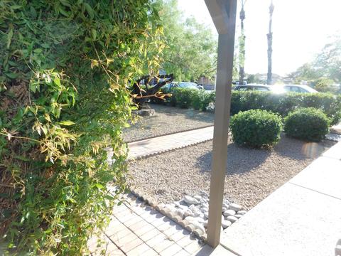 2236 E Sandra Ter, Phoenix, AZ 85022 photo 5