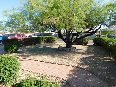 2236 E Sandra Ter, Phoenix, AZ 85022 photo 15